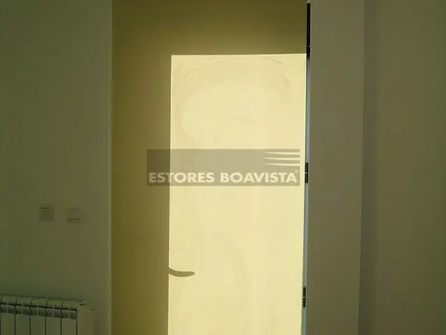 Rolos — fotografia 56
