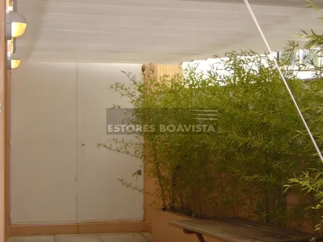 Sevilhanas — fotografia 52