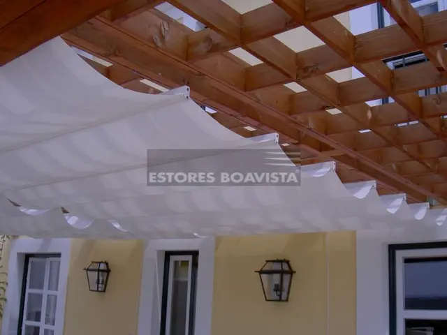 Sevilhanas — fotografia 88