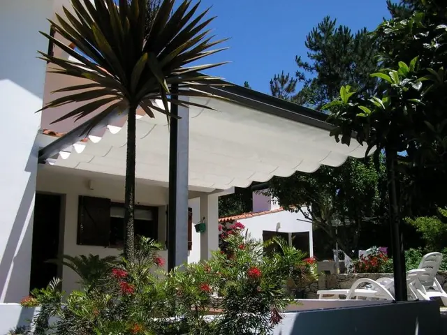 Sevilhanas — fotografia 91