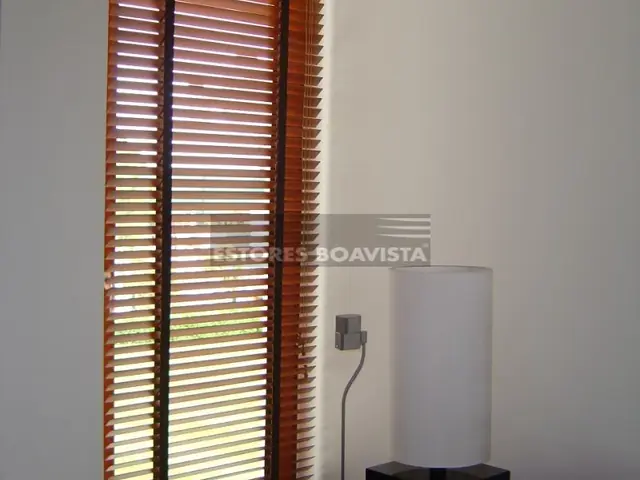 Veneziano em Madeira — fotografia 7